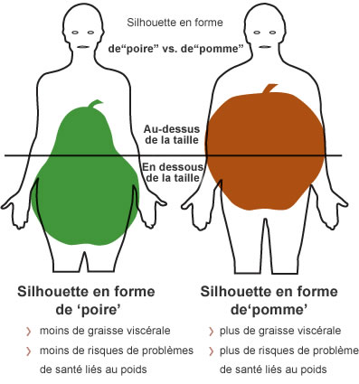 Les différences entre graisses sous-cutané et graisses viscérale